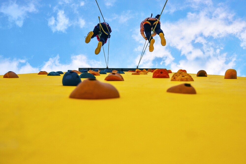 Improving DC Plans To Serve Participant Behavior